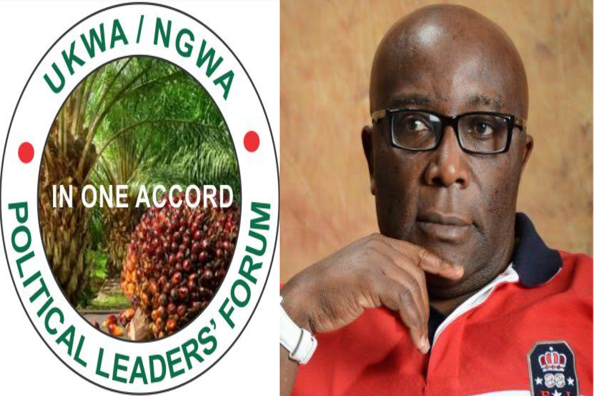 Ukwa/Ngwa Political Leaders’ Forum Condemns False And Criminal Defamatory Publication Against Former Governor Okezie Ikpeazu, Ph.D. Of Abia State, Circulated By Dr Chidi Amuta Through His Facebook Page